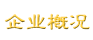 企业简介